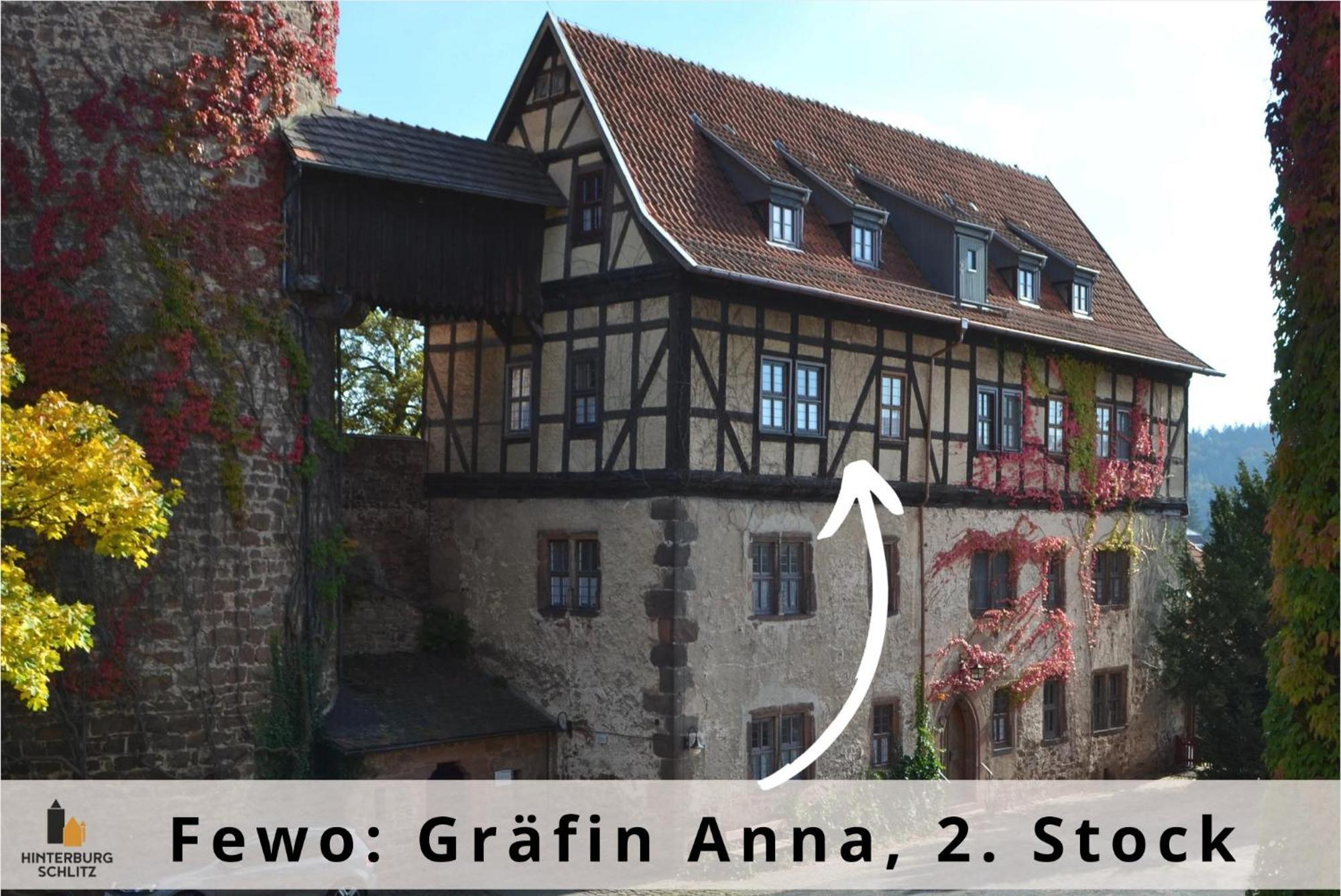 Graefin Anna - Design-Apartment In Der Historischen Hinterburg Schlitz - Nahe Fulda Und Bad Hersfeld Eksteriør billede