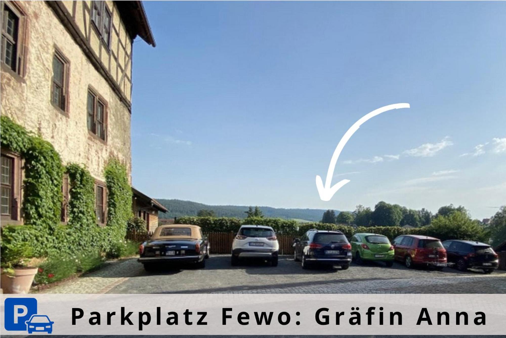 Graefin Anna - Design-Apartment In Der Historischen Hinterburg Schlitz - Nahe Fulda Und Bad Hersfeld Eksteriør billede